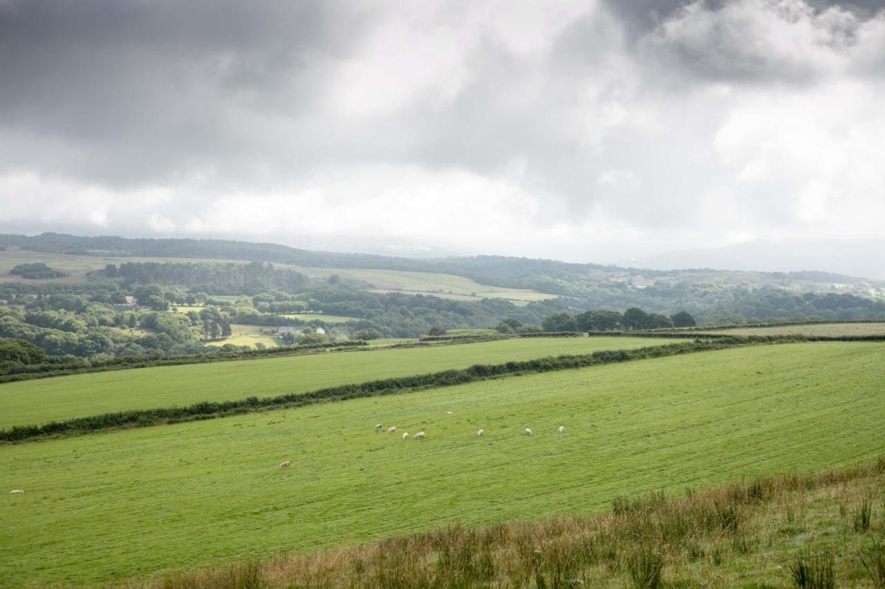 Cwtch Farm Bed & Breakfast Ystalyfera Εξωτερικό φωτογραφία